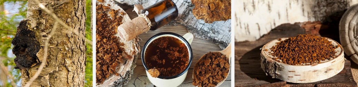 Chaga Extract1.jpg